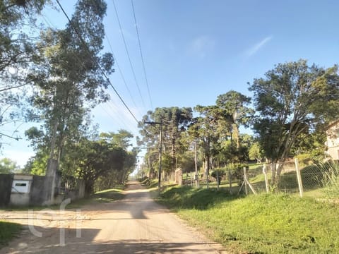 Image 48 - 239663